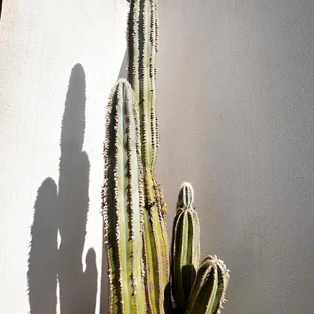 Oro Y Luz رودالكيلار